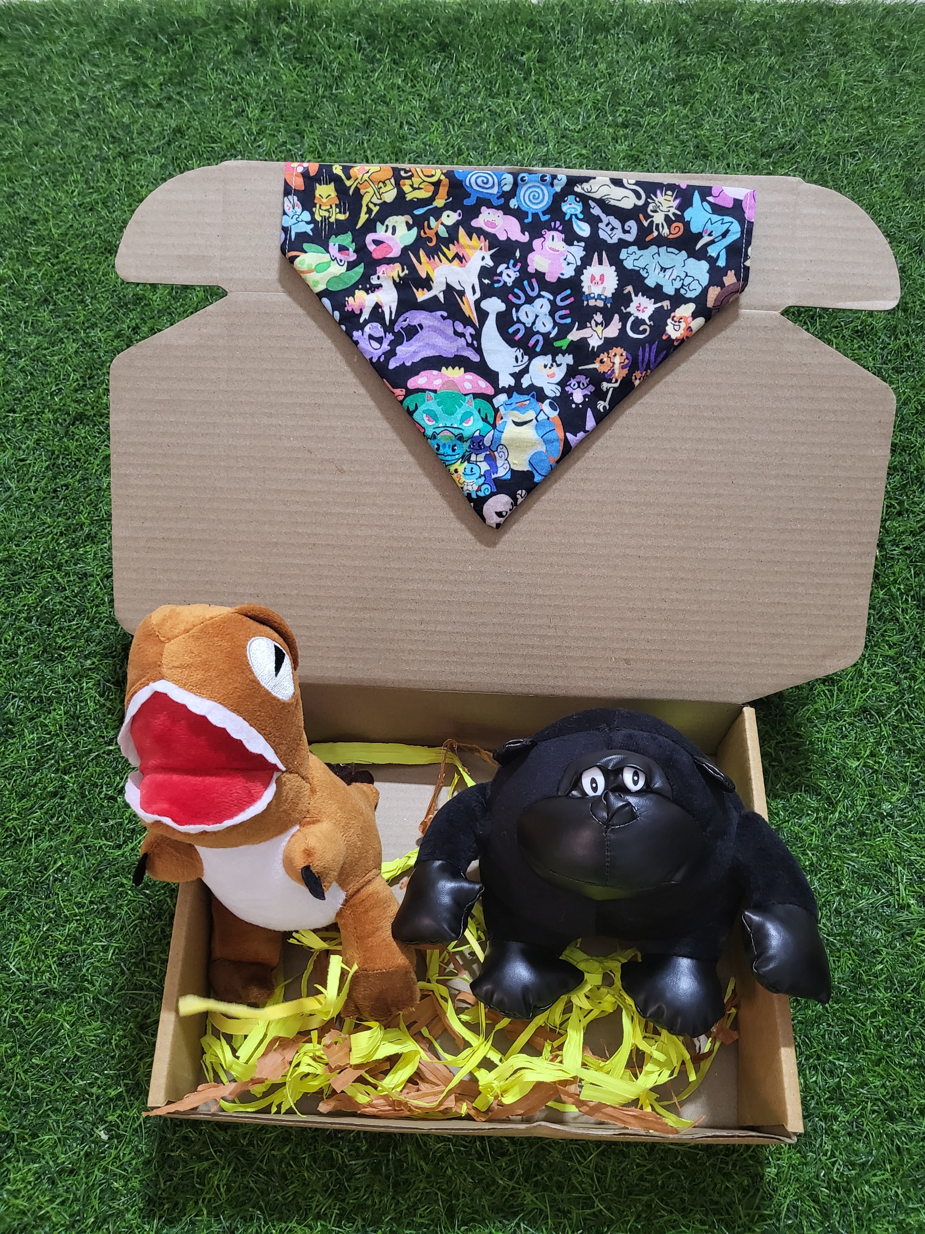 Pawful Combo with bandana- New Launch