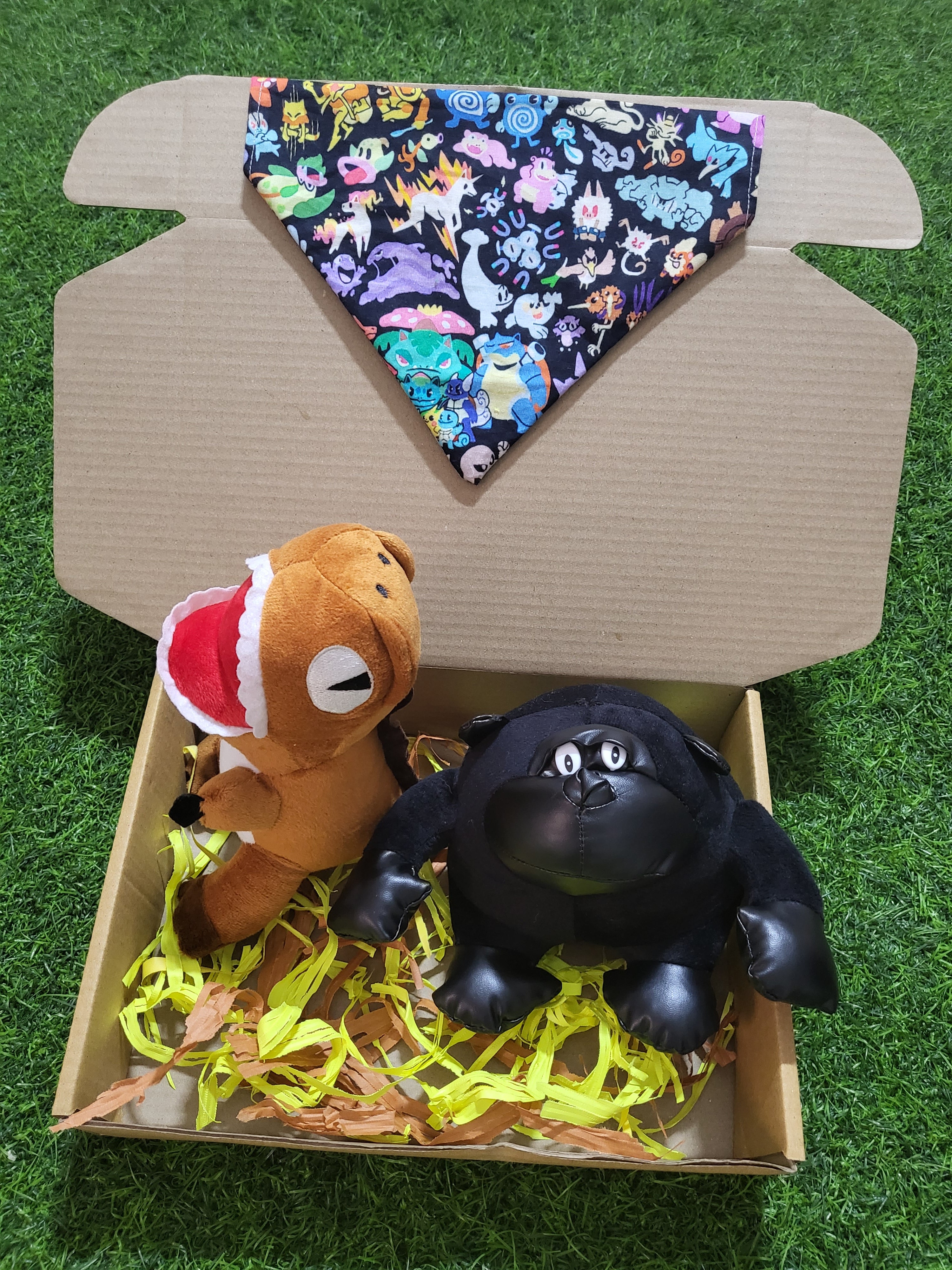 Pawful Combo with bandana- New Launch