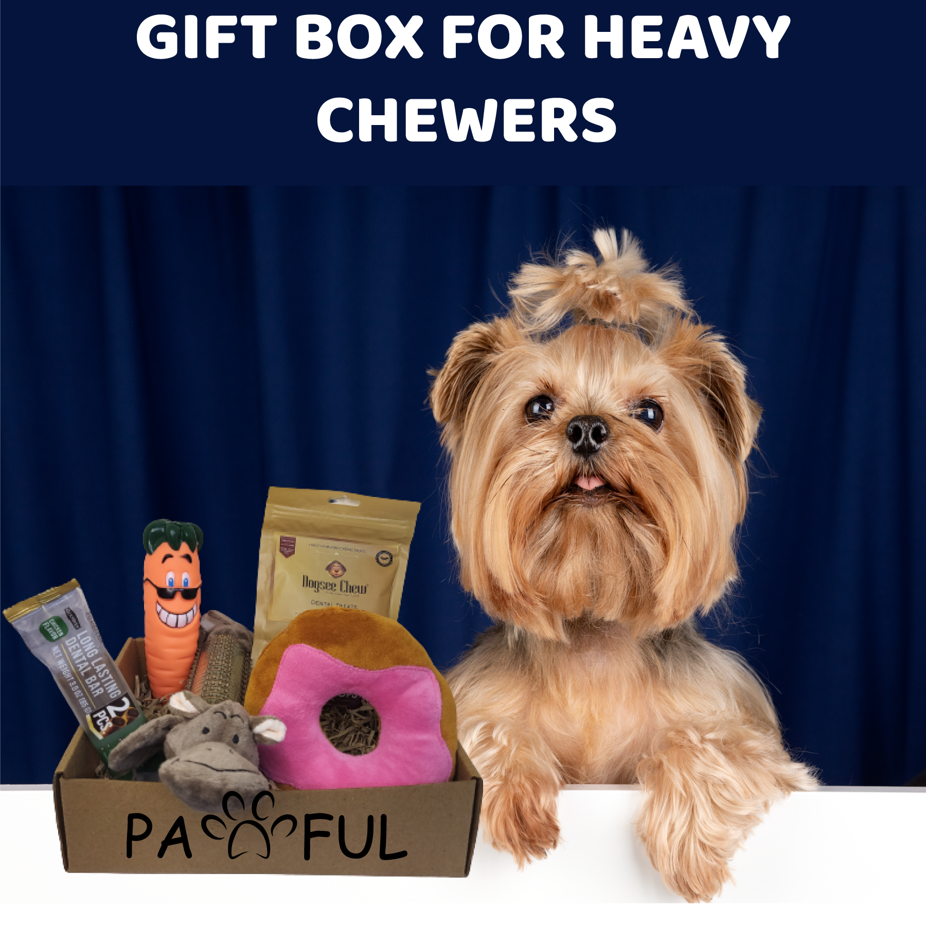 Gift Box for Heavy Chewers