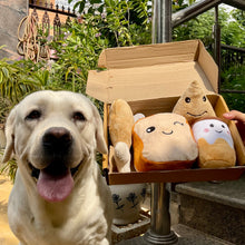 Load image into Gallery viewer, Pawful Meal Box Toys for Dogs- 5 in 1
