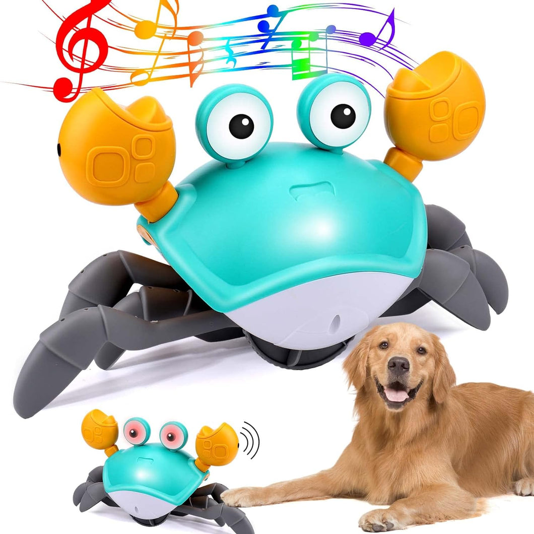 Crawling Crab Musical- Interactive Dog Toy