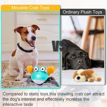 Load image into Gallery viewer, Crawling Crab Musical- Interactive Dog Toy
