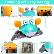 Load image into Gallery viewer, Crawling Crab Musical- Interactive Dog Toy
