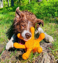 Load image into Gallery viewer, KIWI WALKER  Octopus Toy For Dogs

