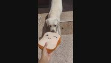 Load and play video in Gallery viewer, Squeaky Sandwich Plush Toy for Dogs
