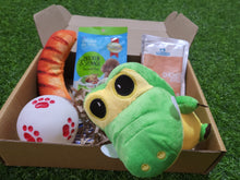 Load image into Gallery viewer, Pawful Super Affordable Swagbox - 3 Toys and 2 Treats
