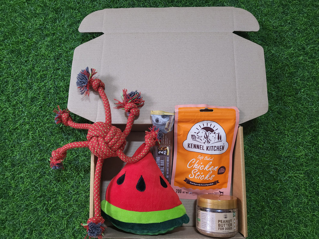 Pawful Swagbox with Watermelon and Rope Toy