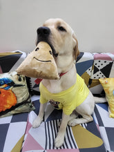 Load image into Gallery viewer, Squeaky Samosa Toy and Treat Dog treat Combo
