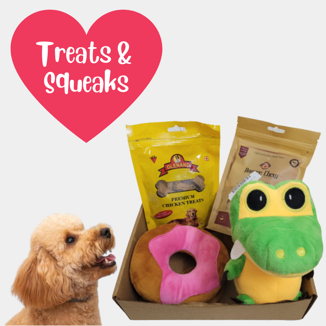Pawful Mini Party box-2 Dog Toys and Treats