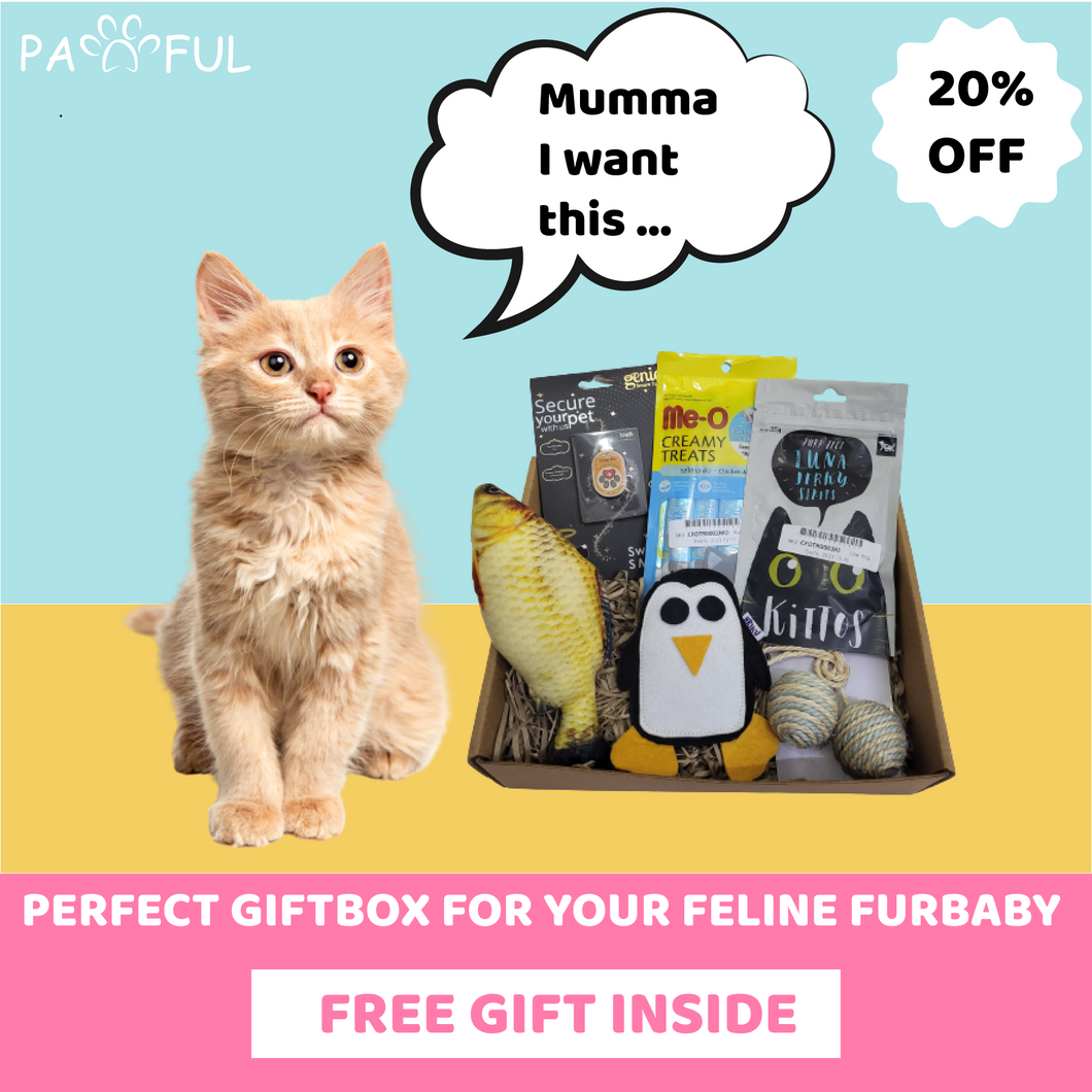 Pawful 6 in 1 Gift Hamper for Kittens and Cats