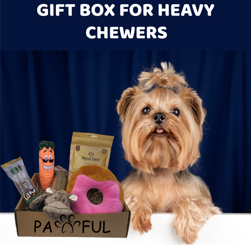 Gift Box for Heavy Chewers