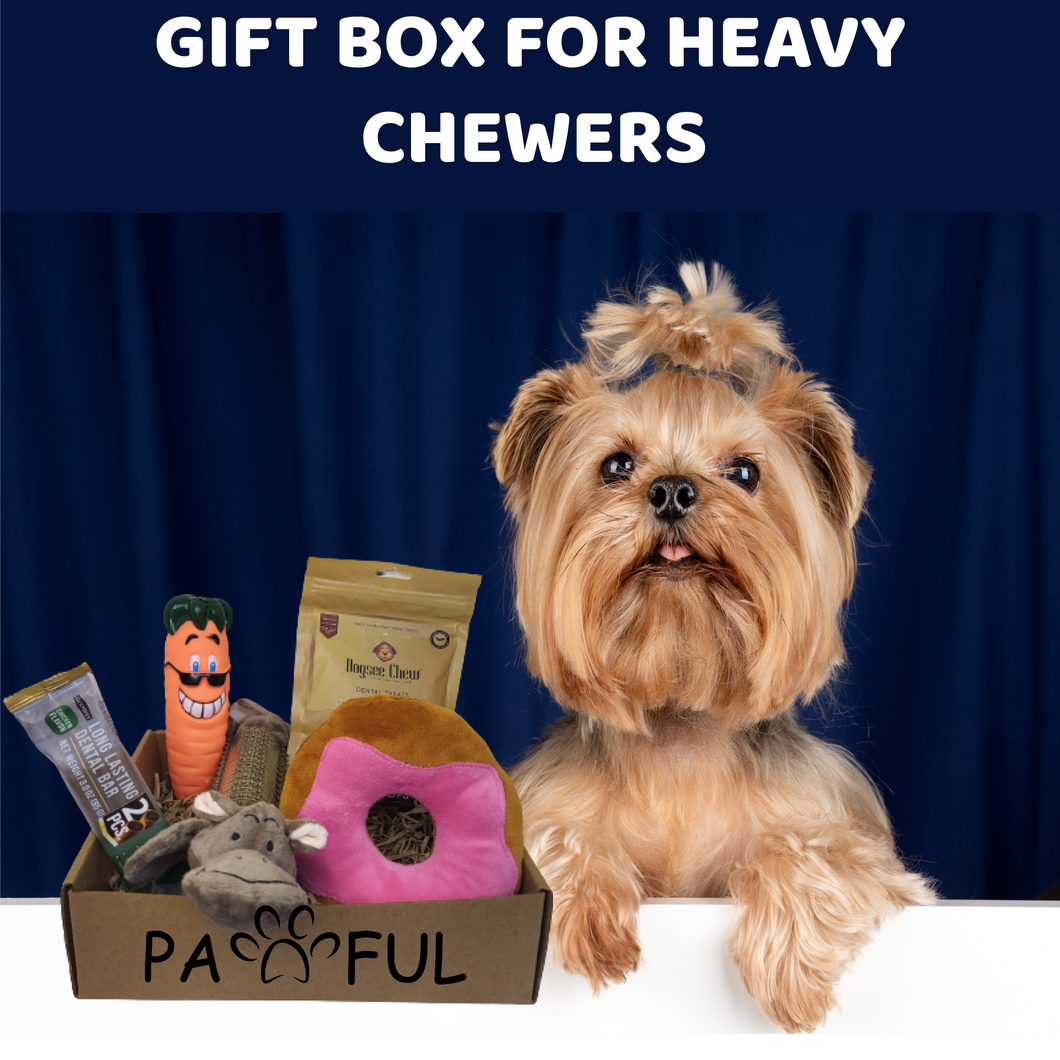 Heavy chewer dog box hot sale
