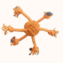 Load image into Gallery viewer, Pawful Combo for Chewers- Squeaky Monster Toy and Octy Rope Toy
