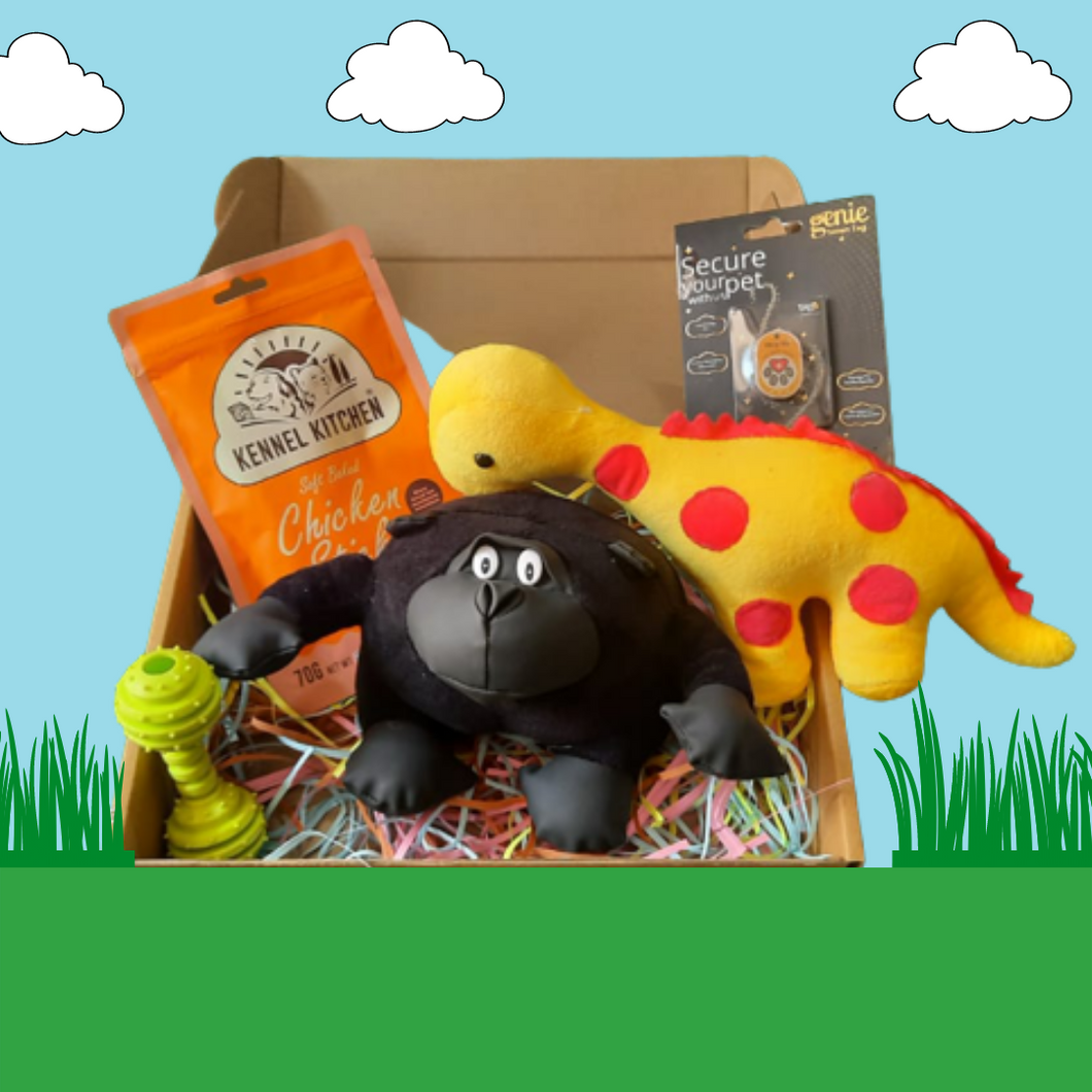 Pawful Swagbox Collection - Squeaky, Plush Toys and Treats